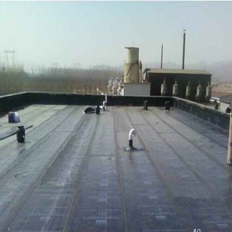 货源充足 齐齐哈尔防水堵漏施工水泥基渗透结晶型防水涂料  厂家直销